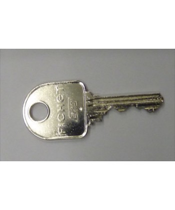 Clé Fichet Gem24 Système Paracentrique