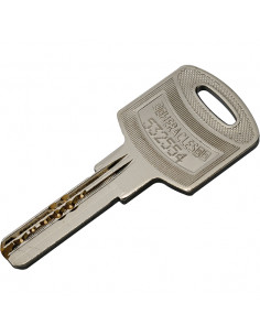 Cylindre Monobloc Heracles Ovoïde Y7 2