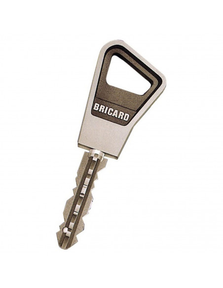 Cylindre Double Entrée Bricard Super-Surete A Bille