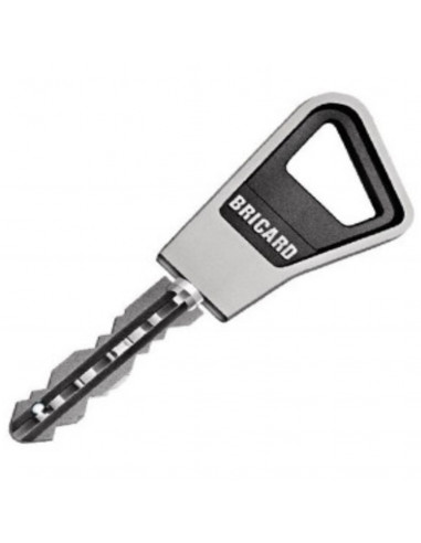 Cylindre Double Entrée Bricard Ovoïde...