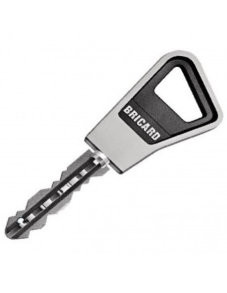 Cylindre Double Entrée Bricard Ovoïde Super-Surete Sans Bille