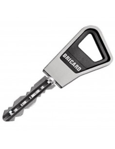 Cylindre Double Entrée Bricard Ovoïde Super-Surete A Bille 2