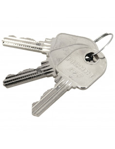 Cylindre Européen Fichet G351 2