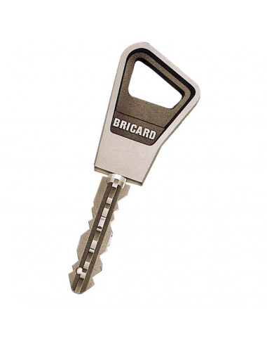 Verrou Double Entrée Super-Surete Bricard A Bille