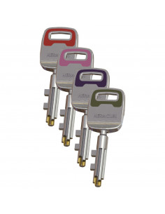 Mécanisme De Carénée Heracles Pericles 2