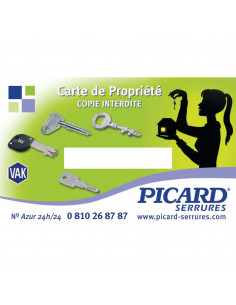 Serrure 3 Points En Applique Trident Picard Vigie 2