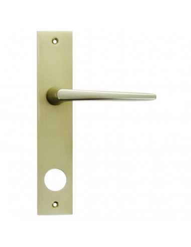 Ensemble Pour Serrure Fichet Sans Souci