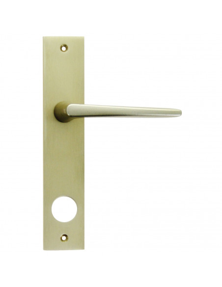 Ensemble Pour Serrure Fichet Sans Souci