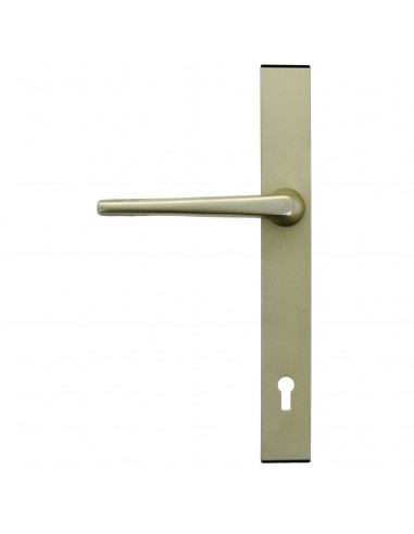 Ensemble Pour Serrure Fichet Sans Souci