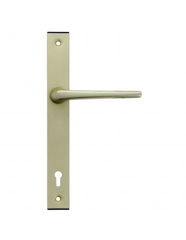 Ensemble Pour Serrure Fichet Sans Souci