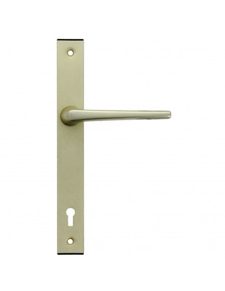 Ensemble Pour Serrure Fichet Sans Souci