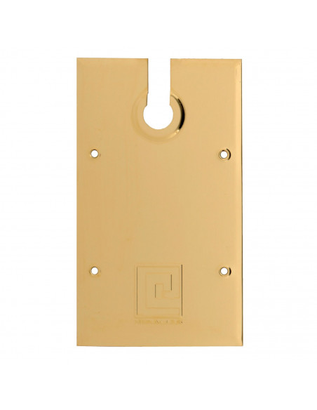 Plaque De Recouvrement Heracles Pour Pivots Tsa Et Tsp