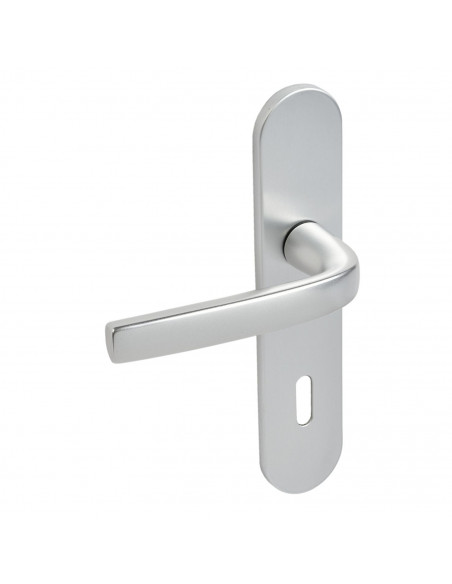 Ensemble Sur Plaque Logio Vachette Grandes Plaques