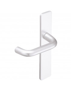 Ensemble Sur Plaque Vachette Bercy