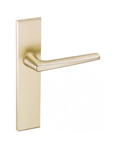 Ensemble Sur Plaque Vachette Riv-Junior