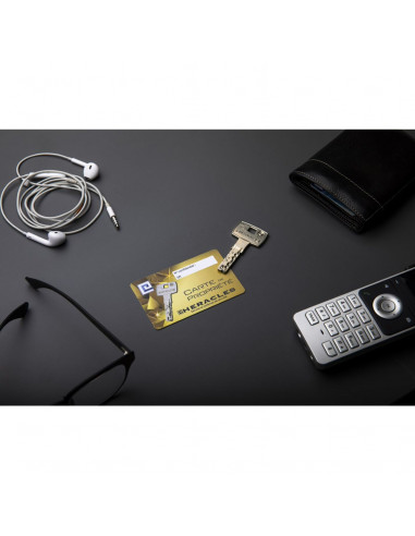 Cylindre A Bouton Héraclès SR