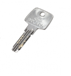 Clé Astral Trial S 2,9 (Gp)/ Trial 2,4 Sur Numero/ Passe